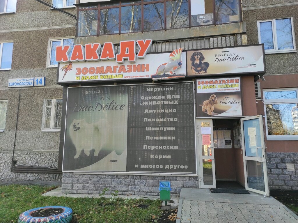 Какаду